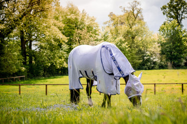 Buy Horseware Ireland Lavender Amigo Bug Buster Fly Rug - 5'6"| Online for Equine