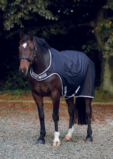 Buy Horseware Ireland Amigo Lite Walker Rug| Online for Equine