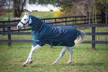 Horseware Ireland Amigo Pony Detachable Neck 50G Turnout Rug