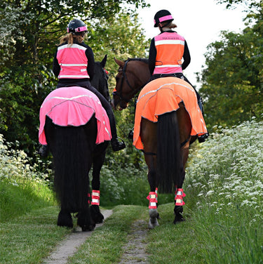 Buy Equisafety Hi Vis Reflective Horse Summer Sheet| Online for Equine