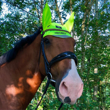 Buy Equisafety Hi Vis Ear Bonnet| Online for Equine