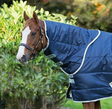 Buy the Horseware Ireland Amigo Insulator Hood | Online for Equine