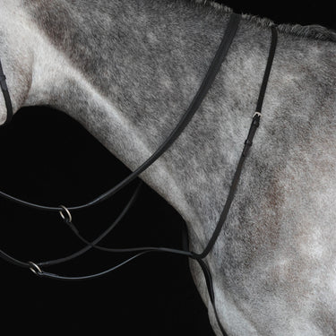 Collegiate Running Martingale IV