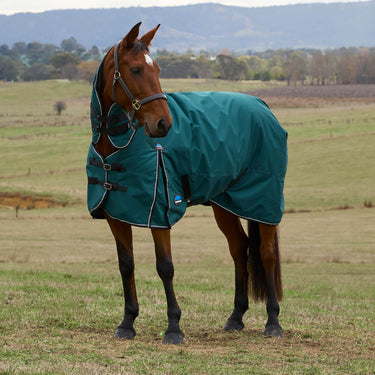 Weatherbeeta Comfitec Classic Turnout Combo 220G