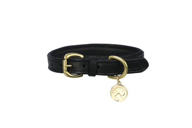 Benji & Flo Deluxe Padded Leather Dog Collar