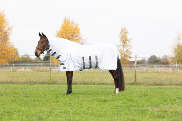 StormX Empra Gladiator UV Combi Fly Rug