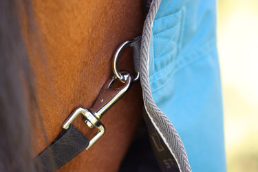 StormX Empra 50 Turnout Rug
