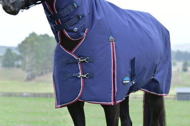 Weatherbeeta Comfitec Essential Turnout Combo 220G Navy/ Burgundy