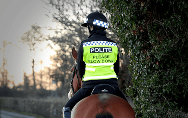 Buy Equisafety Adult Polite "Please Slow Down" Hi Viz Waistcoat| Online for Equine