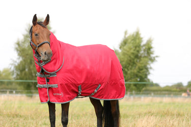 StormX Empra 300 Combi Turnout Rug