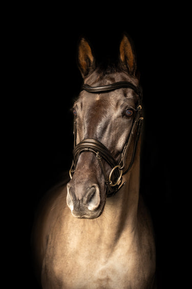 ProPresicce Pelle Crank Leather Bridle by Hy Equestrian