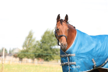 StormX Empra 50 Turnout Rug