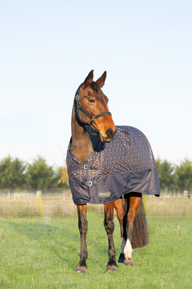 StormX Original Country 100 Turnout Rug