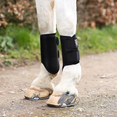 Buy Equilibrium Breathable Tri-Zone Brushing Boots Black | Online for Equine