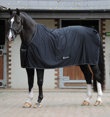 Buy Bucas Shamrock Power Multi Functional Rug| Online for Equine