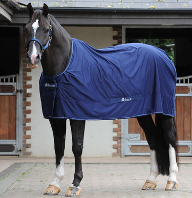 Buy Bucas Shamrock Power Multi Functional Rug| Online for Equine
