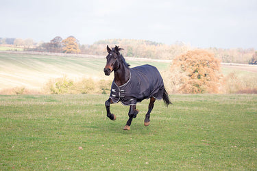 Shires Tempest Plus 300g Combo Turnout Rug