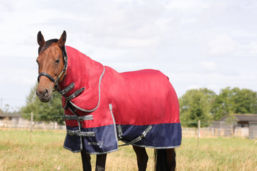 StormX Empra 200 Turnout Rug with Detachable Neck