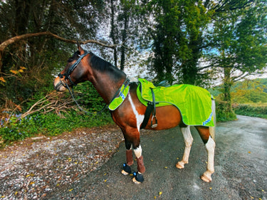 Buy Cameo Equine Hi Viz Wrap Around Rug| Online for Equine