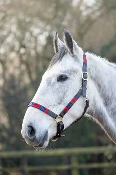 Hy Equestrian Polo Leather Head Collar