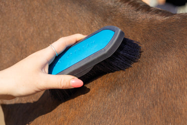 Coldstream Faux Leather Dandy Brush