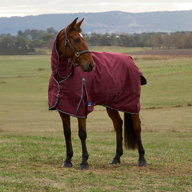Weatherbeeta Comfitec Prelim Turnout Combo 220G Burgundy/ Navy