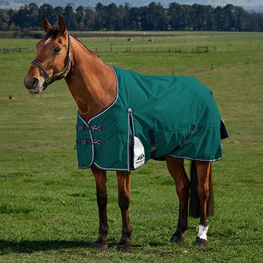 Weatherbeeta Comfitec Plus Dynamic Turnout 100G Forest Green/ Navy