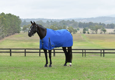 Weatherbeeta Comfitec Essential Turnout 220G Cobalt/Black