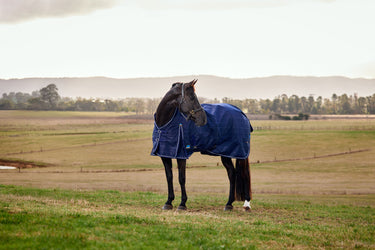 Weatherbeeta Comfitec Prelim Turnout 220G Navy Embossed Plaid