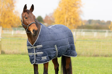 StormX Empra 100 Stable Rug