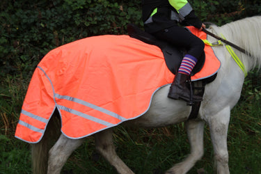 Cameo Equine Pink Hi Viz Exercise Sheet