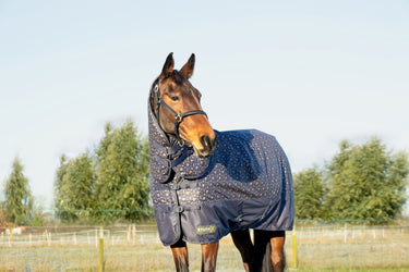 StormX Original Country 200 Combi Turnout Rug