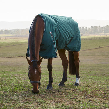 Weatherbeeta Comfitec Classic Turnout 220G