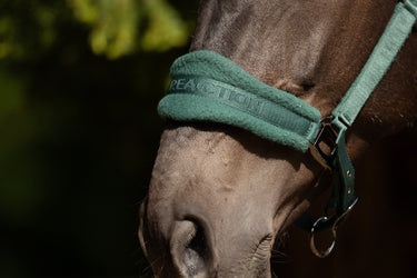ProReaction Dura Fleece Head Collar by Hy Equestrian| Online For Equine