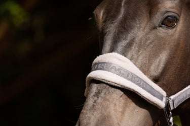 ProReaction Dura Fleece Head Collar by Hy Equestrian| Online For Equine