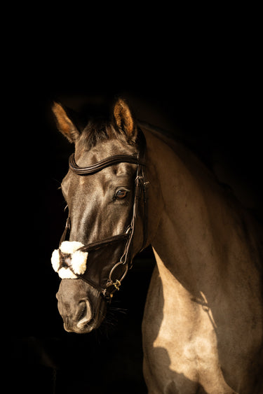 ProPresicce Pelle Grackle Leather Bridle by Hy Equestrian| Online For Equine