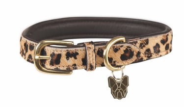 Buy Digby & Fox Cow Hair Dog Collar| Online for Equine