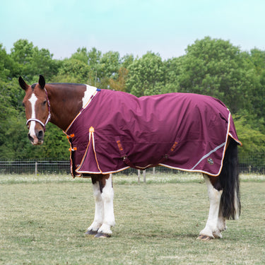 Gallop 1200D Trojan Xtra 100g Duraproof 5-Point Turnout