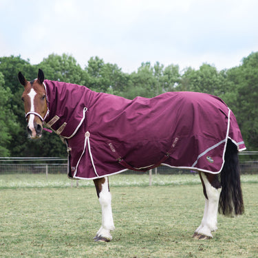Gallop Trojan Xtra Duraproof 100g Turnout Combo