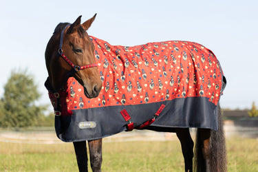 StormX Original 50 Turnout Rug