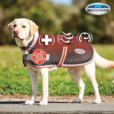 WeatherBeeta Therapy-Tec 1200D Dog Coat