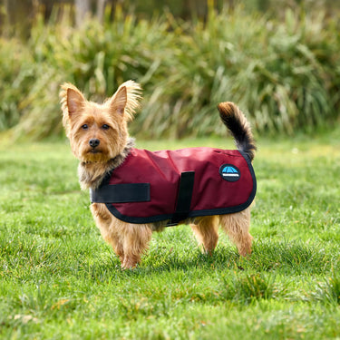 Weatherbeeta Comfitec Classic Waterproof Dog Coat Burgundy