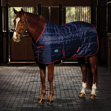 Weatherbeeta Comfitec 210D Channel Quilt Stable Standard Neck 100G