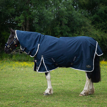 Gallop 600D Trojan 100g Duraproof Combo Turnout