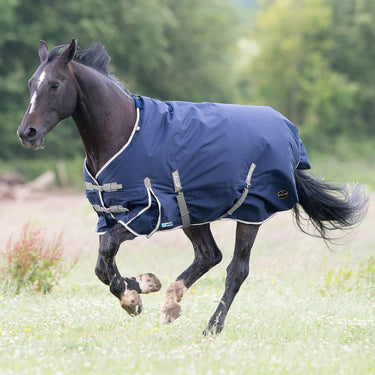 Gallop Trojan Duraproof 300g 5-Point Standard Neck Turnout