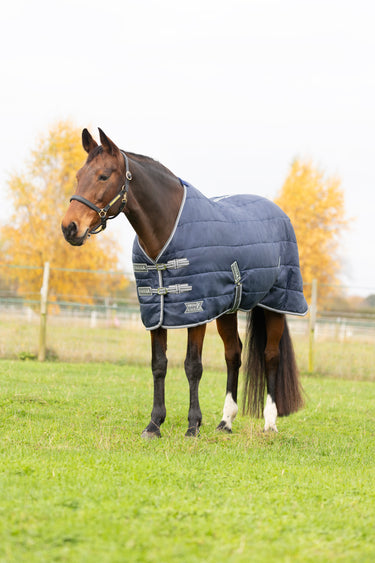 StormX Empra 100 Stable Rug