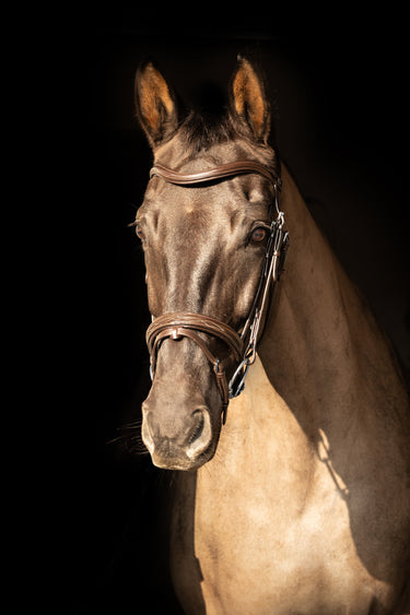 ProPresicce Pelle Raised Flash Leather Bridle by Hy Equestrian| Online For Equine