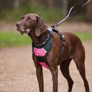 Weatherbeeta Anti Pull/Travel Dog Harness