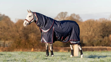 LeMieux 100g Kudos Turnout Rug Navy