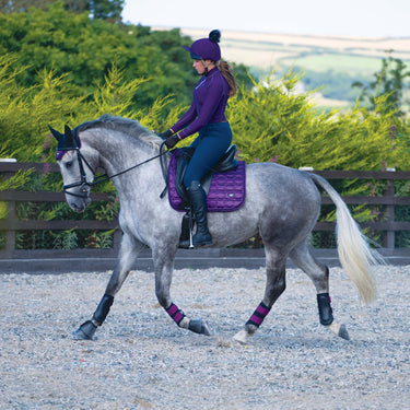 Buy Woof Wear Damson Club Brushing Boot | Online for Equine